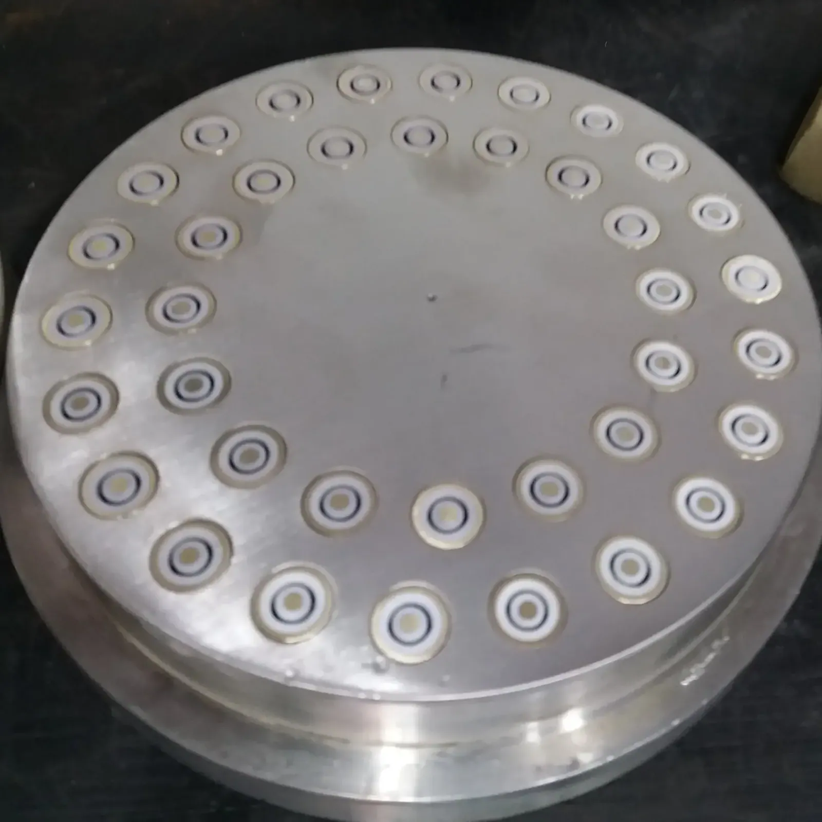R.N. stainless-steel macaroni die plate fitted with rings of PTFE-lined inserts